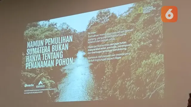 Benih untuk Pulih, Perjalanan Panjang Kembalikan Hulu Hutan Sumatera yang Dikoyak Bencana