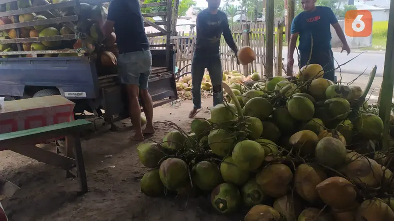 Petani kelapa di Provinsi Gorontalo memilih menjual hasil panen mereka masih muda ketimbang harus dijadikan kopra (Arfandi Ibrahim/Liputan6.com)
