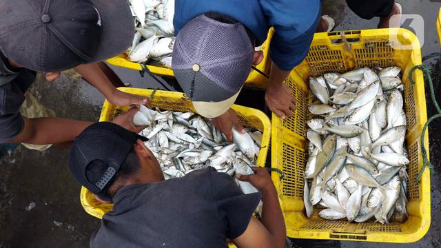 Target Ekspor Komoditas Kelautan dan Perikanan 2023