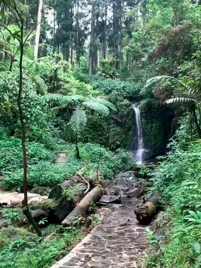 Kebun Raya Baturraden