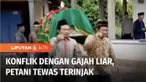Seorang petani di Lampung Timur, Lampung, meninggal dunia akibat diinjak gajah liar yang berasal dari Taman Nasional Way Kambas. Warga berharap pengelola dapat mengatasi konflik gajah dan masyarakat penyangga.