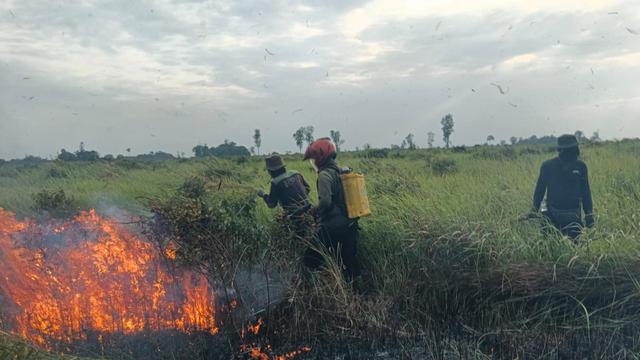 Kronologi Kebakaran di Taman Nasional Way Kambas, Api Muncul di Enam Titik