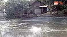 liputan6