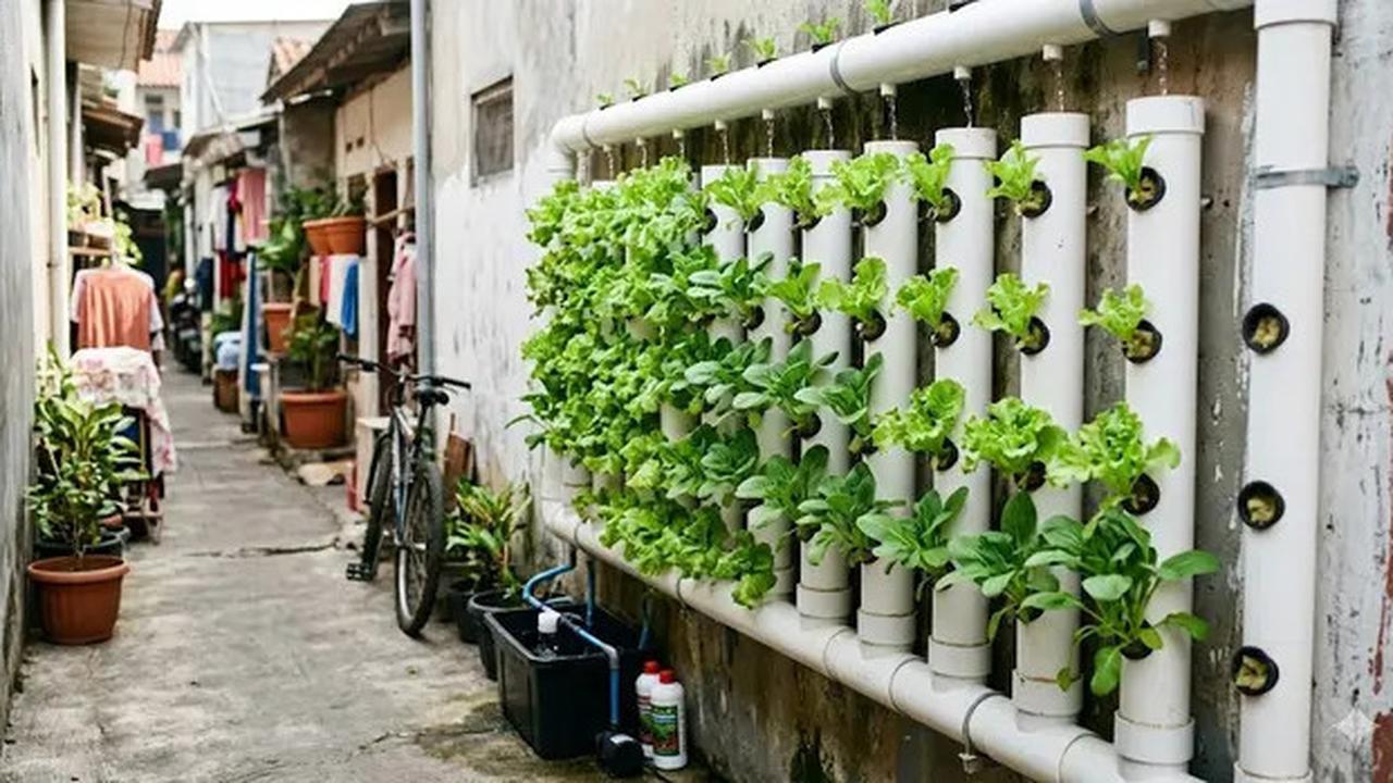 7 Inspirasi Kebun Mini Hidroponik untuk Rumah di Gang Sempit, Hijaukan Lahan Terbatas
