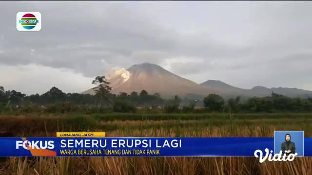 Fokus edisi (19/12) menyajikan beberapa berita di antaranya, Semeru Erupsi Lagi, Arus Lalu Lintas Liburan, Sejuknya Berkemah di Ranca Upas.