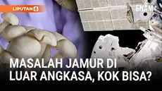 Jamur menjadi salah satu masalah terbesar bagi astronot yang bertugas di Stasiun Luar Angkasa Internasional (ISS).