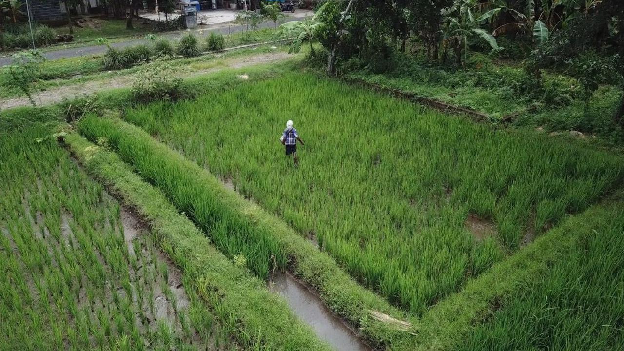 Selain itu, ia bilang selama satu tahun terakhir pula ada tiga lapangan usaha yang memiliki tenaga kerja terbanyak, yakni:
