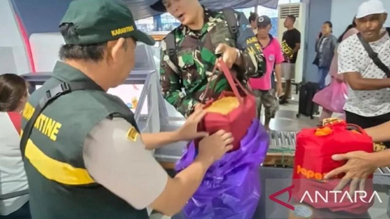 Perkuat Pengawasan Lalu Lintas Barang Karantina, BKHIT Maluku Gandeng TNI di Pelabuhan Ambon