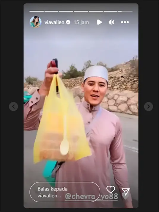 <p>[Instagram/viavallen]</p>