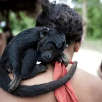 Terancam punah, suku ini ternyata punya kebiasaan unik, yakni menyusui bayi hewan.