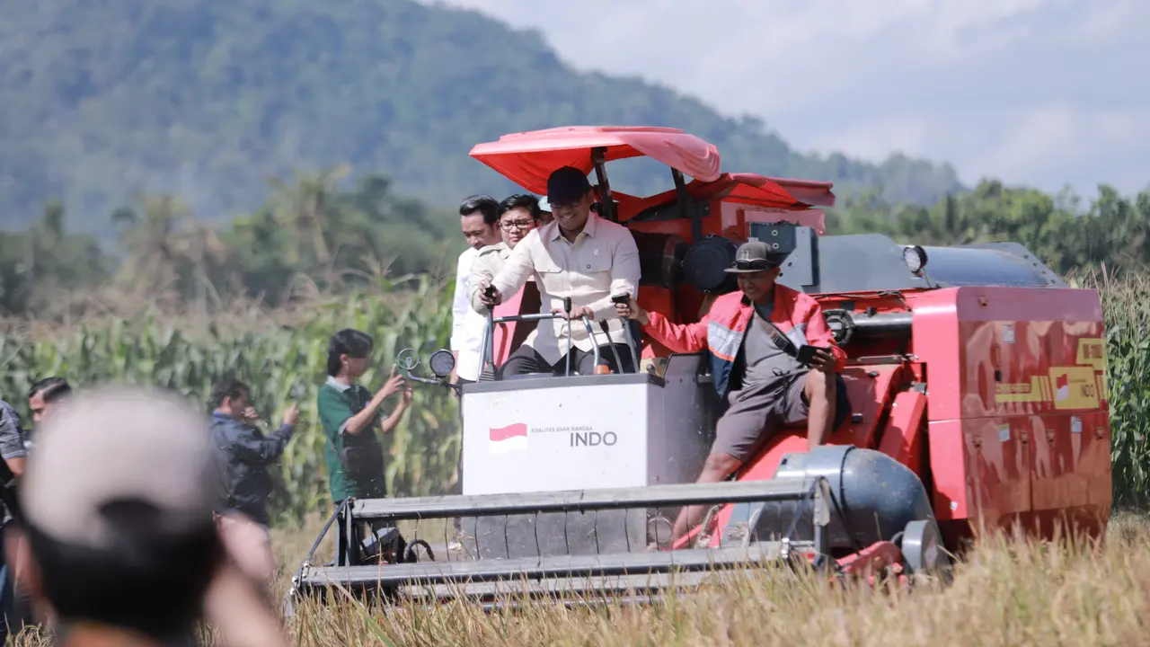 Wamen Pertanian Kunjungi Jember, Tekankan Produktivitas dan Swasembada Pangan