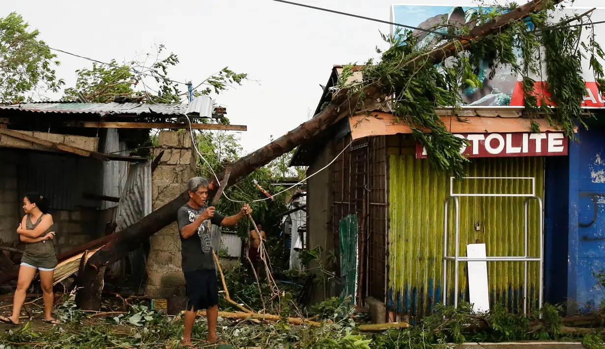 Sebuah pohon tumbang dihantam ngin kencang dari Topan Mangkhut di kota Tuguegarao di provinsi Cagayan, Filipina timur laut (15/9). Pemerintah Filipina mengeluarkan perintah evakuasi untuk 5,2 juta warganya akibat topan Mangkhut. (AP Photo/Aaron Favila)