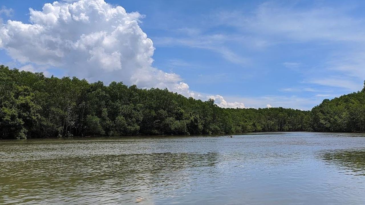 Keragaman Ikan