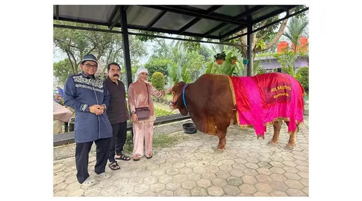 7 Artis Kurban Sapi di Idul Adha 2025, Raffi Ahmad hingga Ruben Onsu