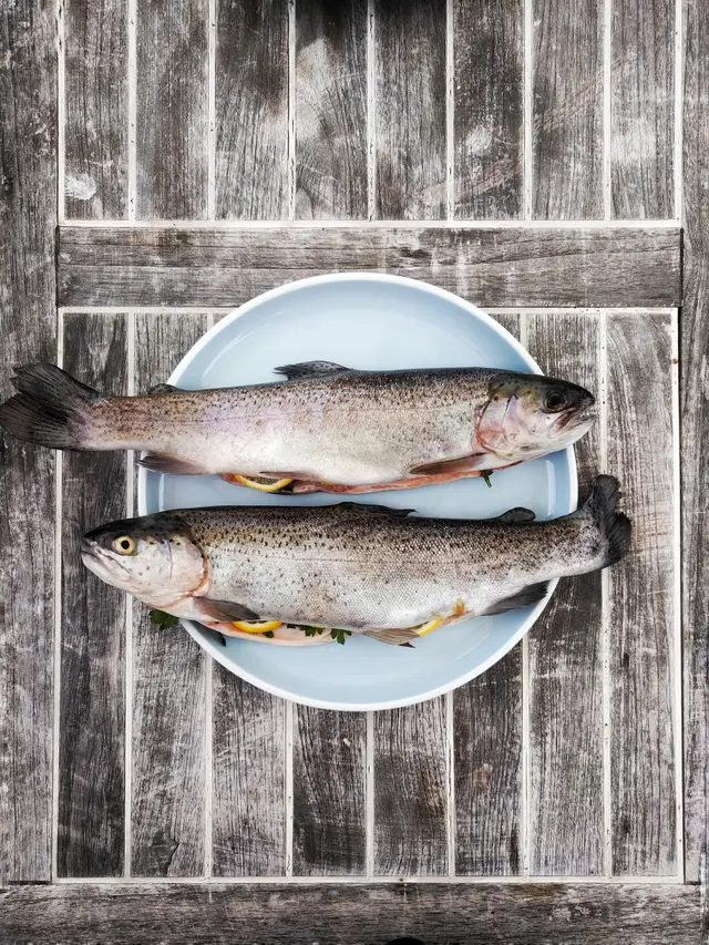 ikan berformalin