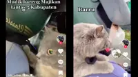 Viral Mudik Lebaran Bareng Anabul Lintas 5 Kabupaten, Warganet: Kok Bisa Anteng?