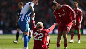 Hugo Ekitike cedera di laga Brighton vs Liverpool. (AP Photo/Ian Walton)
