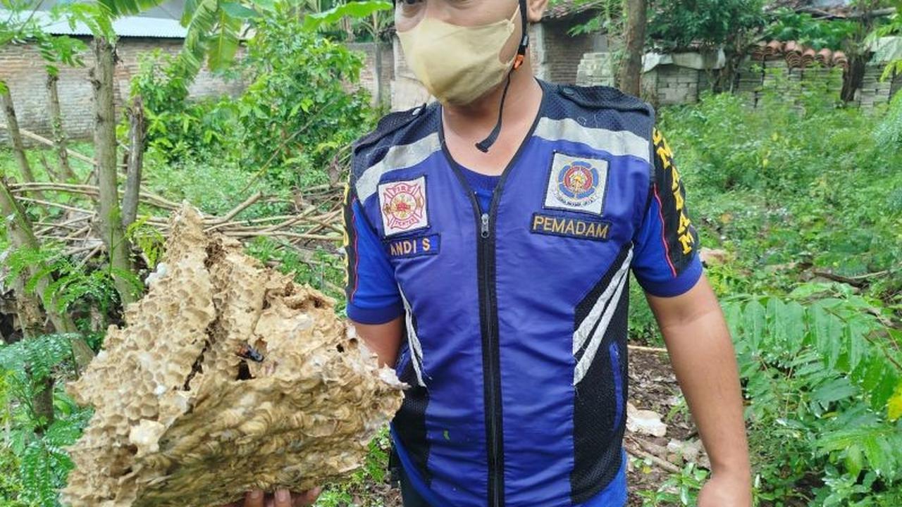Penyelamatan Non-Kebakaran Damkar Ponorogo Melonjak, Tangani Ratusan Laporan Sepanjang 2025