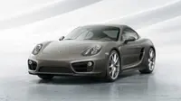 New Porsche Cayman 