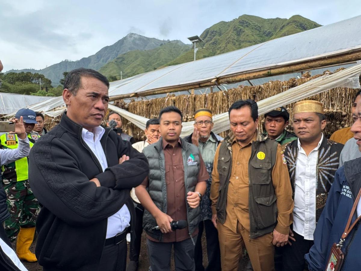 FOTO: NTB Diproyeksikan Jadi Pilar Jagung dan Bawang Putih Nasional