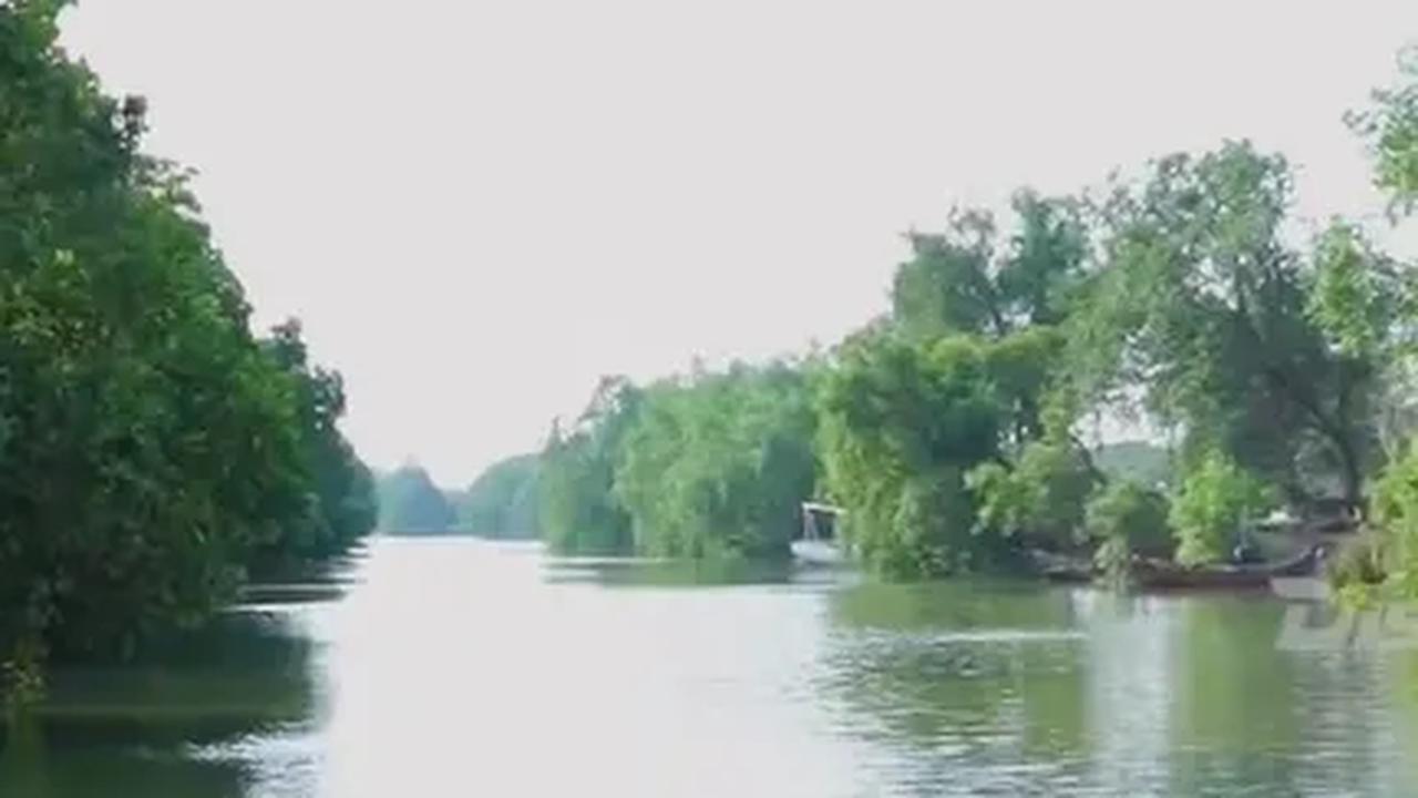 Dikenal sebagai Amazonnya Indramayu, Begini Serunya Mengarungi Sungai Kedung Cowet Pakai Perahu