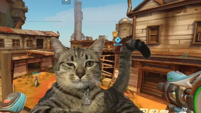 6 Potret Kucing Ganggu Majikan Main Game Ini Bikin Senyum Tipis