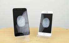 [Video] Sensor sidik jari Nexus 5x vs touch ID iPhone 6s