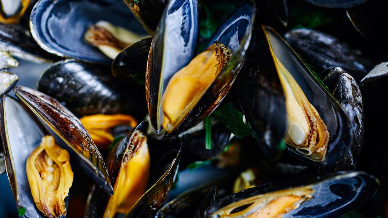 Ilustrasi Mussels