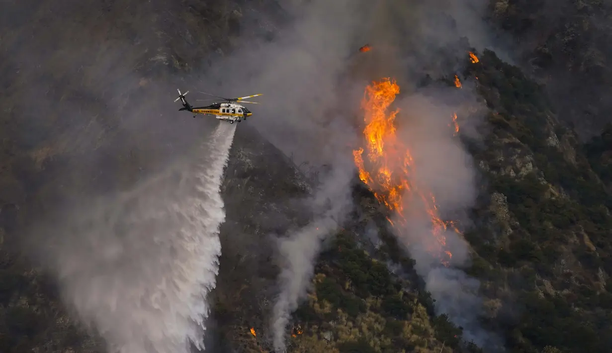 Sebuah helikopter menjatuhkan air ke Ranch Fire di Azusa, California, Amerika Serikat, 13 Agustus 2020. Gelombang panas menyulitkan petugas pemadam kebakaran yang sedang memerangi kebakaran semak dan kebakaran hutan di California Selatan. (AP Photo/Marcio Jose Sanchez)