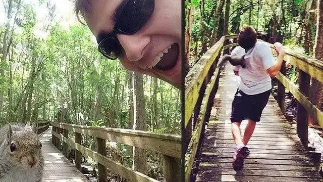 8 Momen Apes Orang Diserang Oleh Hewan Ini Bikin Kasihan