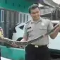 Ular piton masuk ke dalam rumah warga di Mamuju. (Liputan 6 SCTV)