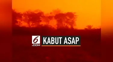 Langit di Jambi menjadi merah. Peristiwa langit merah di Jambi terjadi sejak Sabtu (21/9/2019) pagi dan warna semakin merah pada sore hari.