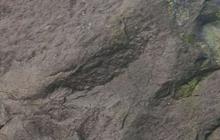 Fakta Menarik Batu Alien, Lontaran Material Besar dari Letusan Gunung Merapi yang Bentuknya Disebut Mirip Wajah Manusia