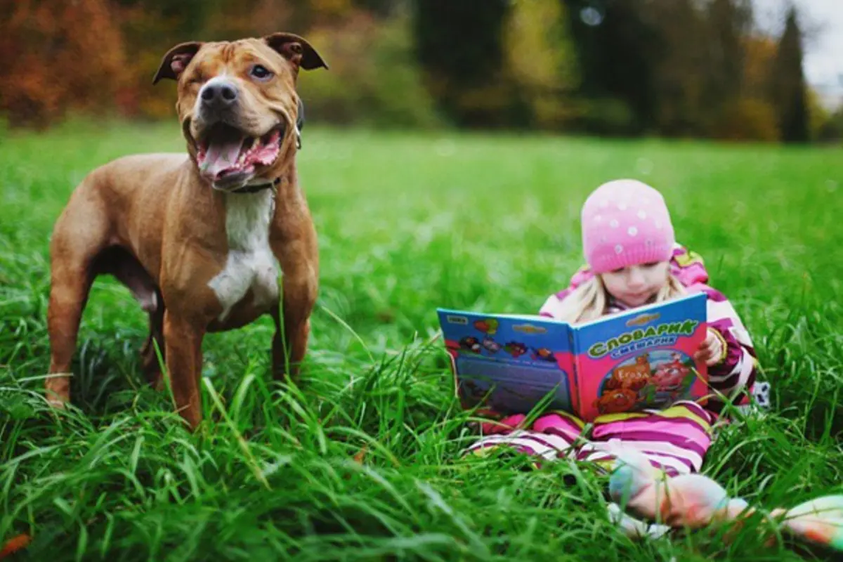 9 Foto Ini Tunjukan Kalau Anjing Sahabat Anak-Anak