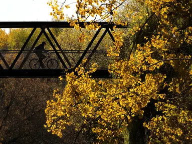 Seseorang mengendarai sepedanya melewati jembatan di antara warna-warni musim gugur di Mississauga, Ontario, pada Kamis, 27 Oktober 2022. (Nathan Denette/The Canadian Press via AP)