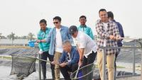 Raffi Ahmad, Ariel Noah hingga Desta Tiba-Tiba Datangi Tambak Budidaya Nila, Ada Apa?
