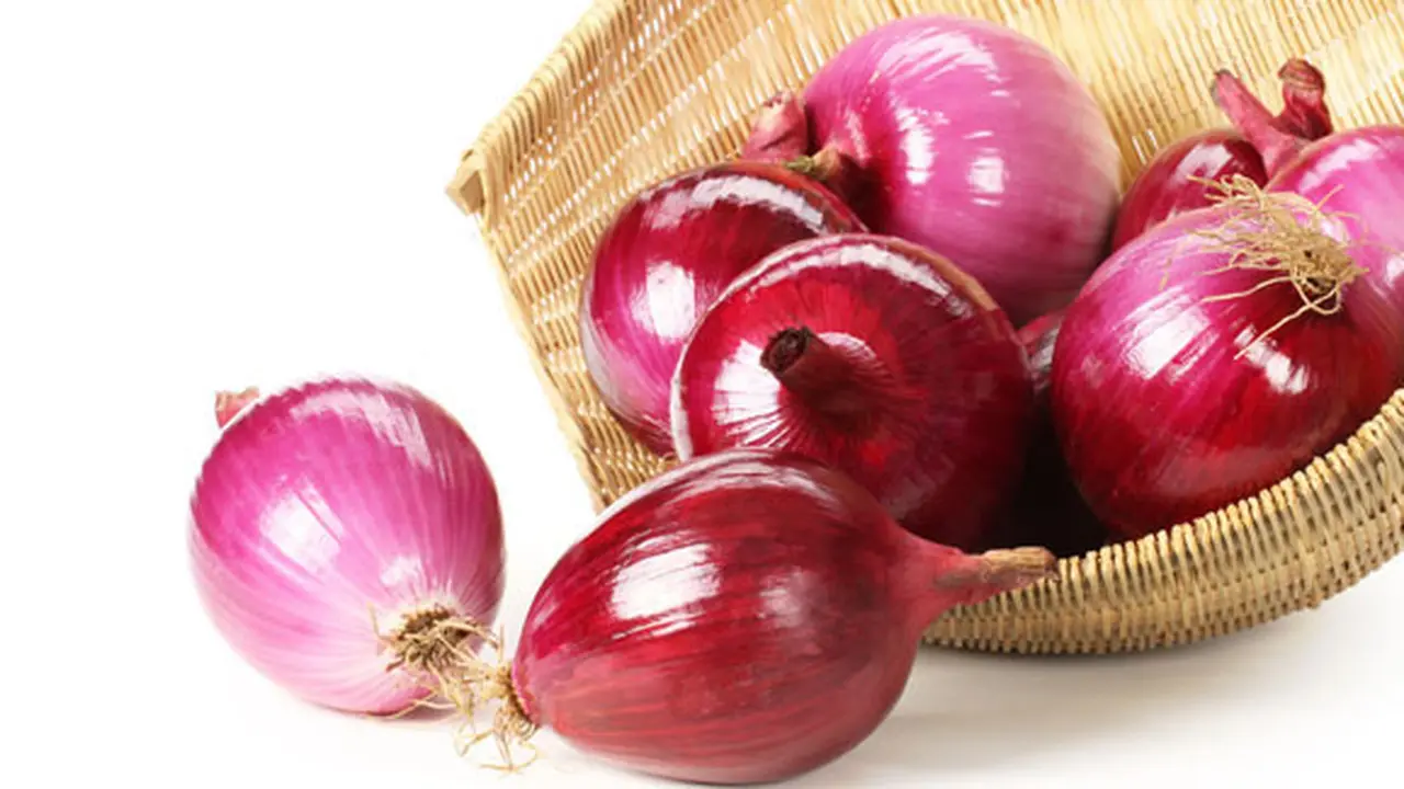 (c) shutterstock