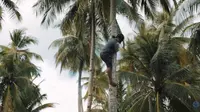 Cerita Perempuan Tangguh Papua dalam Film Dokumenter Ekspedisi Nusa Manggala LIPI