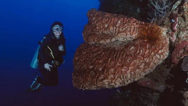 [Fimela] Naysila Mirdad diving