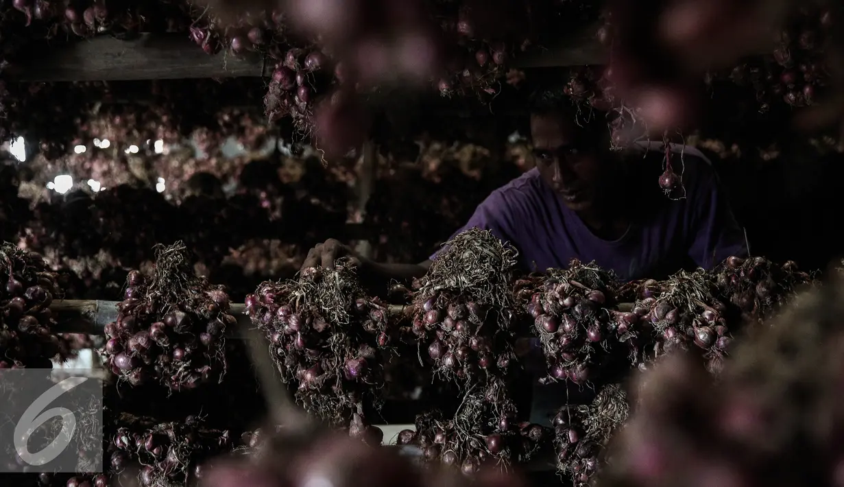Pekerja melihat kondisi bawang merah di Gudang Bulog, Jakarta, Senin (16/5). Sebanyak 23.000 ton bawang merah disiapkan Kementerian Pertanian menjelang bulan puasa dan lebaran. (Liputan6.com/Faizal Fanani)