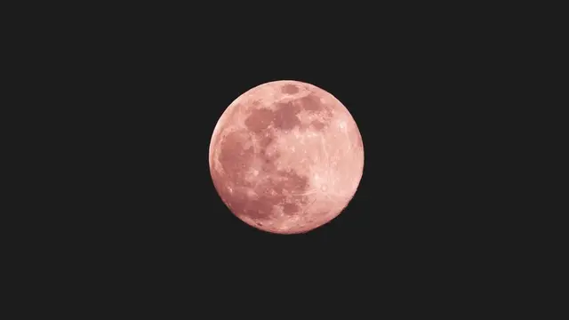 Ilustrasi warna pink.