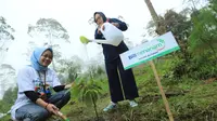 Program penghijauan BRI Menanam & BRI Menanam Grow & Green.