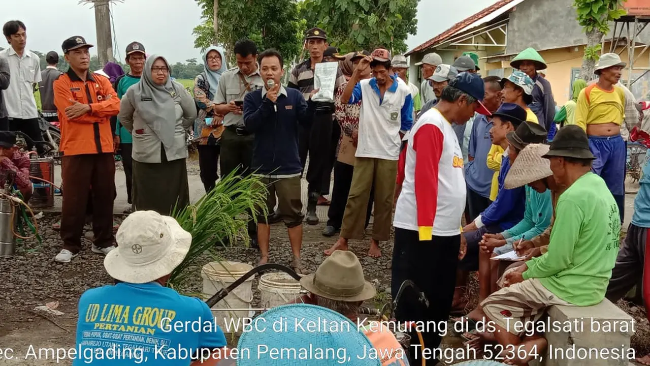 Kementan