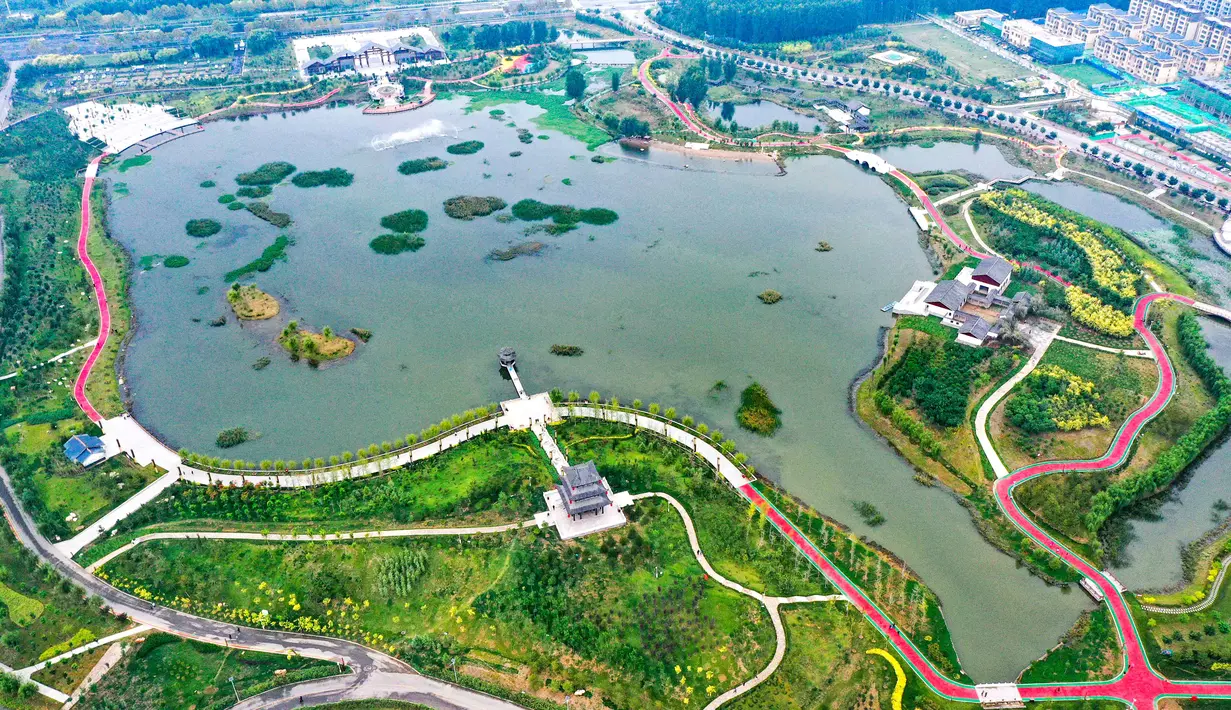 Foto udara pemandangan di sebuah taman ekologi di Wilayah Cixian, Provinsi Hebei, China pada 24 September 2020. Dalam beberapa tahun terakhir, Cixian berupaya menyempurnakan pengelolaan sungai dan restorasi ekologi untuk meningkatkan kualitas sistem perairan di wilayah tersebut. (Xinhua/Wang Xiao)