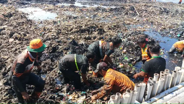 Petugas kebersihan mengangkat sampah dari Teluk Jakarta
