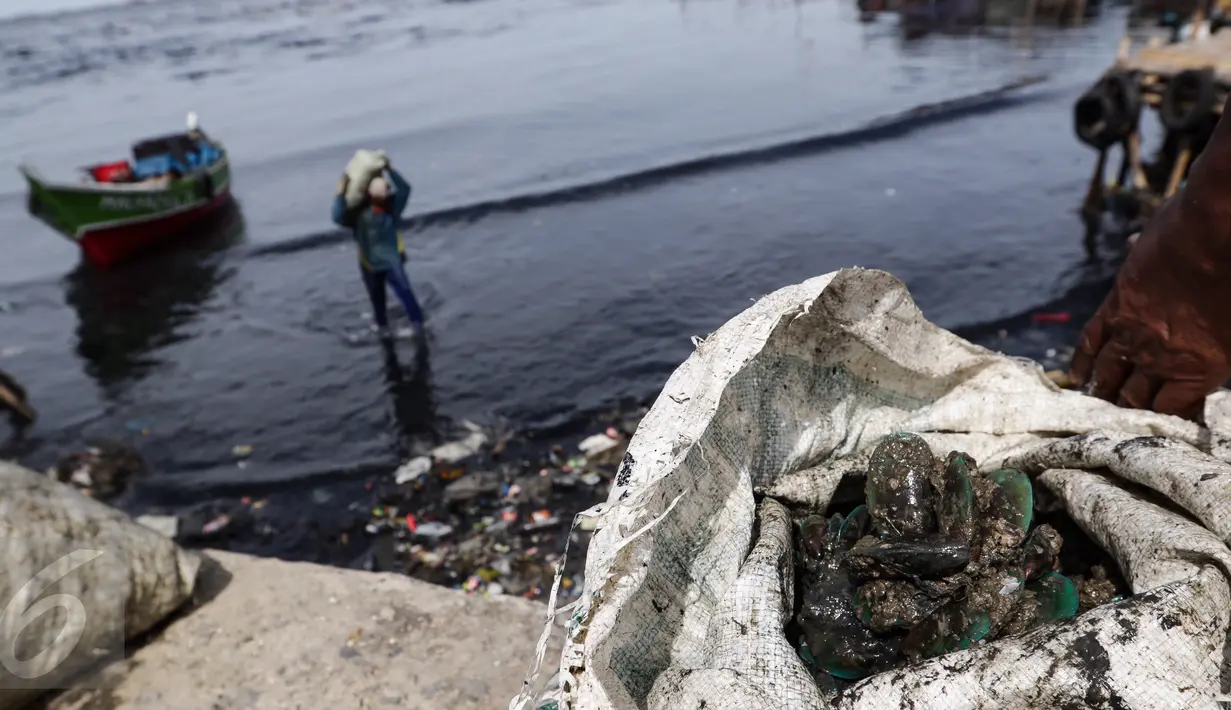 Tampak sebuah karung berisi kerang hijau hasil tangkapan nelayan di Tempat Pelelangan Ikan Cilincing, Jakarta Utara, Rabu (8/2). (Fery Pradolo/Liputan6.com)