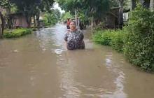 Banjir Jember Telan Satu Korban Jiwa Akibat Sengatan Listrik di Rambipuji