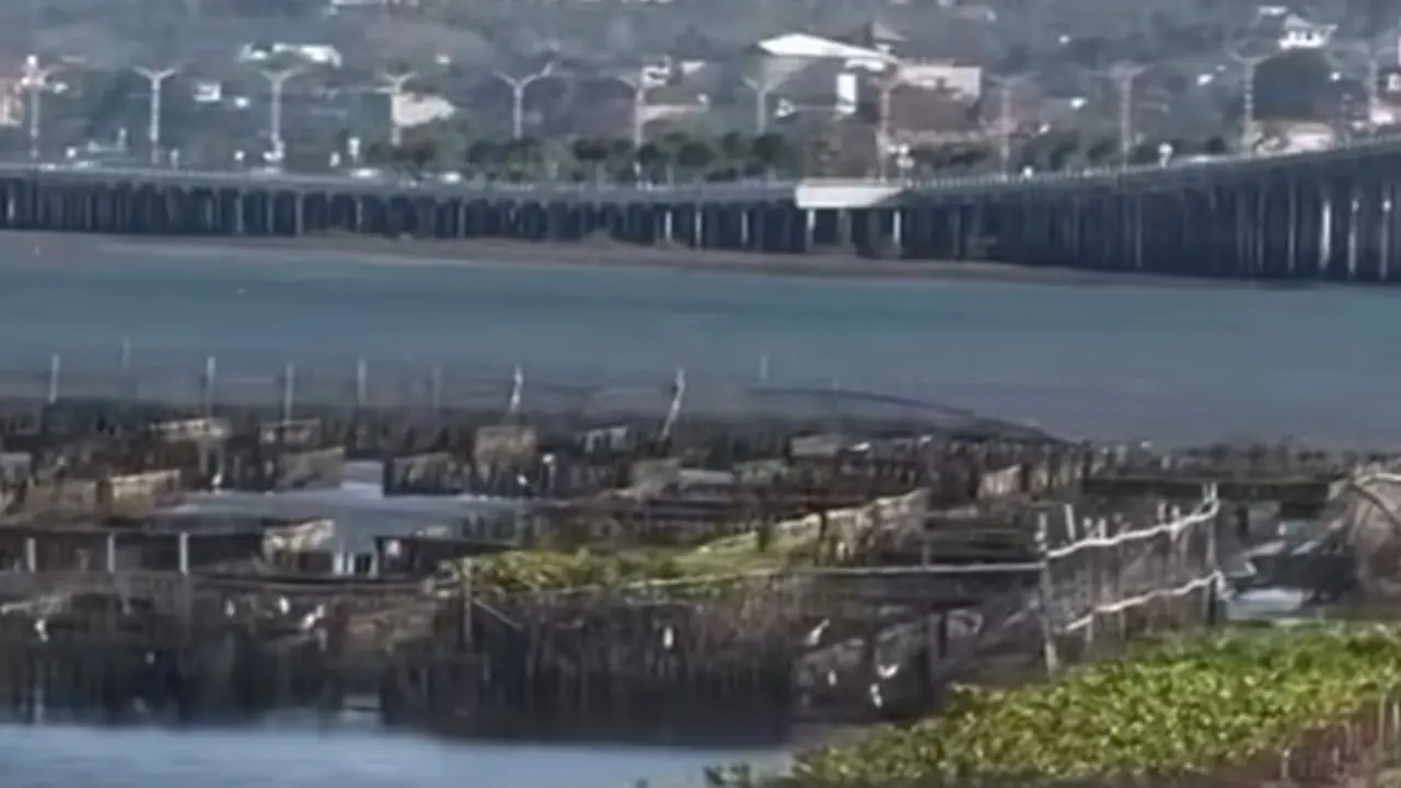 Nasib Taman Mangrove G20 yang Berlokasi di Tengah Laut Pinggir Tol Bali Mandara Tak Lagi Terawat