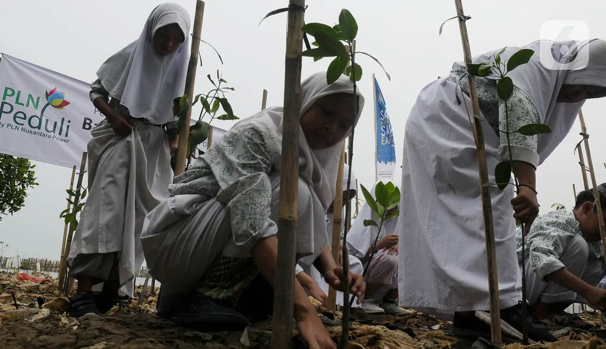 PLN  terus berperan aktif dalam melestarikan alam Indonesia serta mencegah pengurangan lahan akibat abrasi. (merdeka.com/Imam Buhori)
