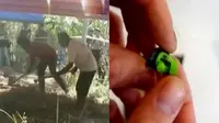 Makam Rian Dibongkar hingga Gergaji Mesin Terkecil di Dunia